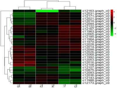 差異表達(dá)miRNA聚類分析 差異表達(dá)miRNA聚類分析