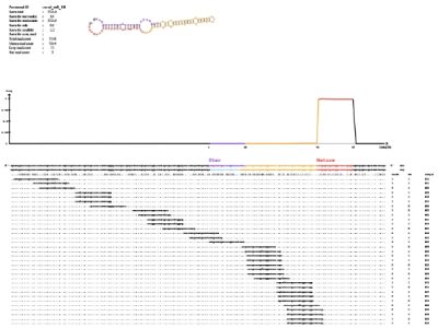 miRNA鑒定 miRNA鑒定