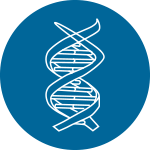 繪制GO、KEGG分類富集圖