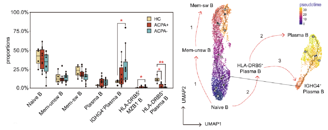 圖1?利用Monocle推斷類風(fēng)濕性關(guān)節(jié)炎PBMCs B細(xì)胞的分化軌跡[3]