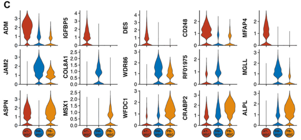 圖2單細胞RNA測序（sc?RNAseq）數(shù)據(jù)揭示了馬間充質(zhì)基質(zhì)細胞（MSCs）的源間變異