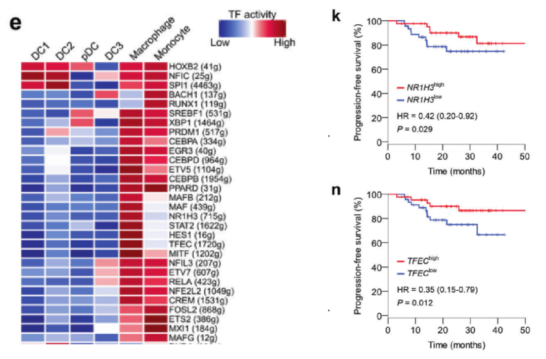 圖7??基于SCENIC分析鼻咽癌關(guān)鍵調(diào)控轉(zhuǎn)錄因子[9]