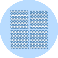三圖合一：實現(xiàn)精準的單細胞分割