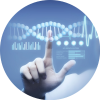 S1000-ONT 空間全長轉(zhuǎn)錄組