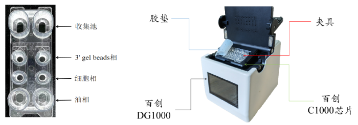 圖1：百創(chuàng)C1000芯片結(jié)構(gòu)（左圖）；百創(chuàng)DG1000微液滴生成儀（右圖）