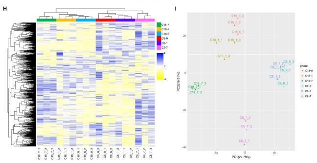 非靶向代謝組的無(wú)監(jiān)督層次聚類分析和 PCA 分析