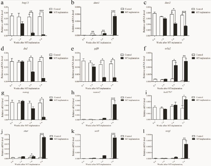 圖 8 RT-qPCR 驗證性逆轉(zhuǎn)期間所選基因的表達(dá)