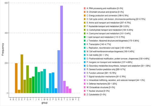 eggNOG功能基因功能分類統(tǒng)計圖 eggNOG功能基因功能分類統(tǒng)計圖