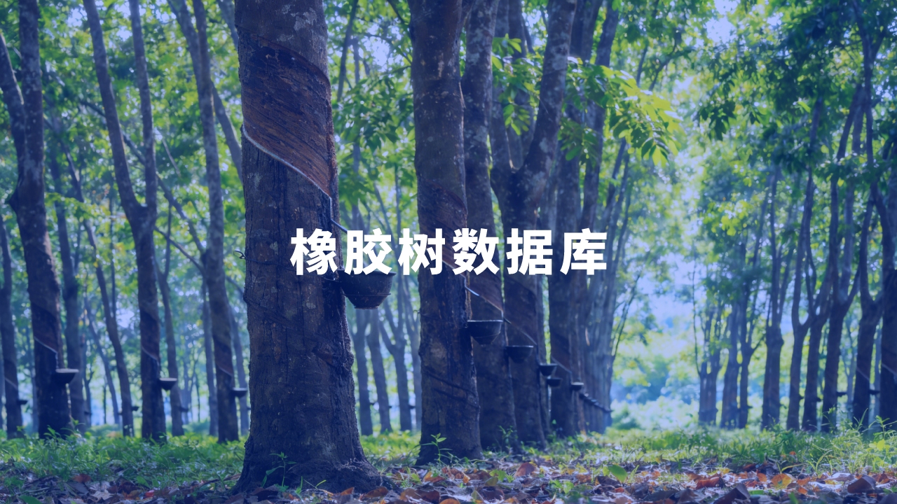 合作單位：中國(guó)熱帶農(nóng)業(yè)科學(xué)院橡膠研究所