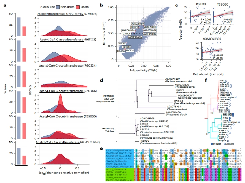 圖2N-乙酰5-ASA微生物酶包括硫代酶和?；o酶A N-乙酰轉移酶