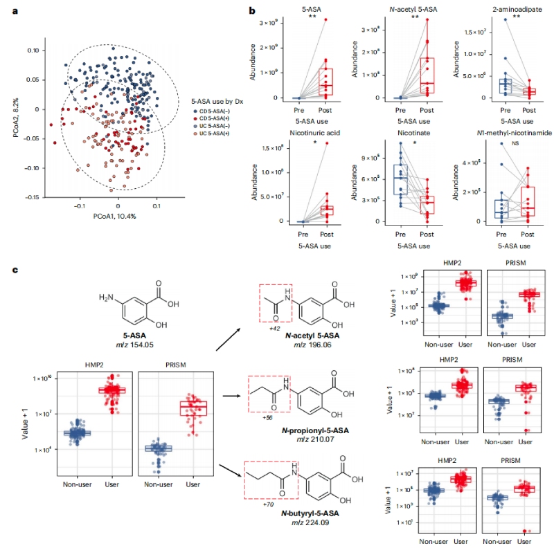 5-ASA可直接影響糞便代謝組，并通過微生物組進行生物轉化