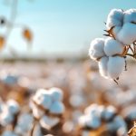 陸地棉進(jìn)化軌跡與重要性狀遺傳架構(gòu)被破解！《Nature Genetics》