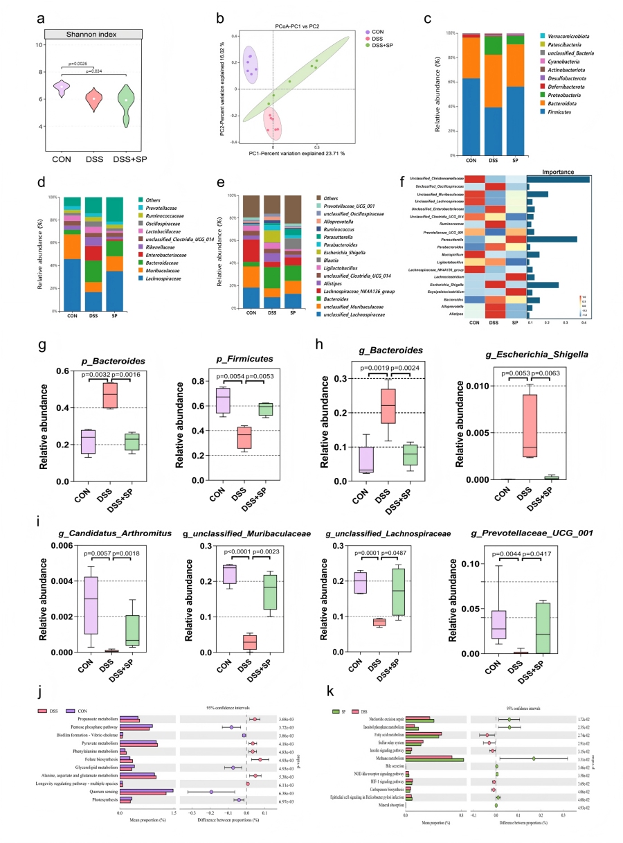 圖3 SP可改善DSS誘導(dǎo)小鼠的腸道菌群失調(diào)并改變微生物組功能