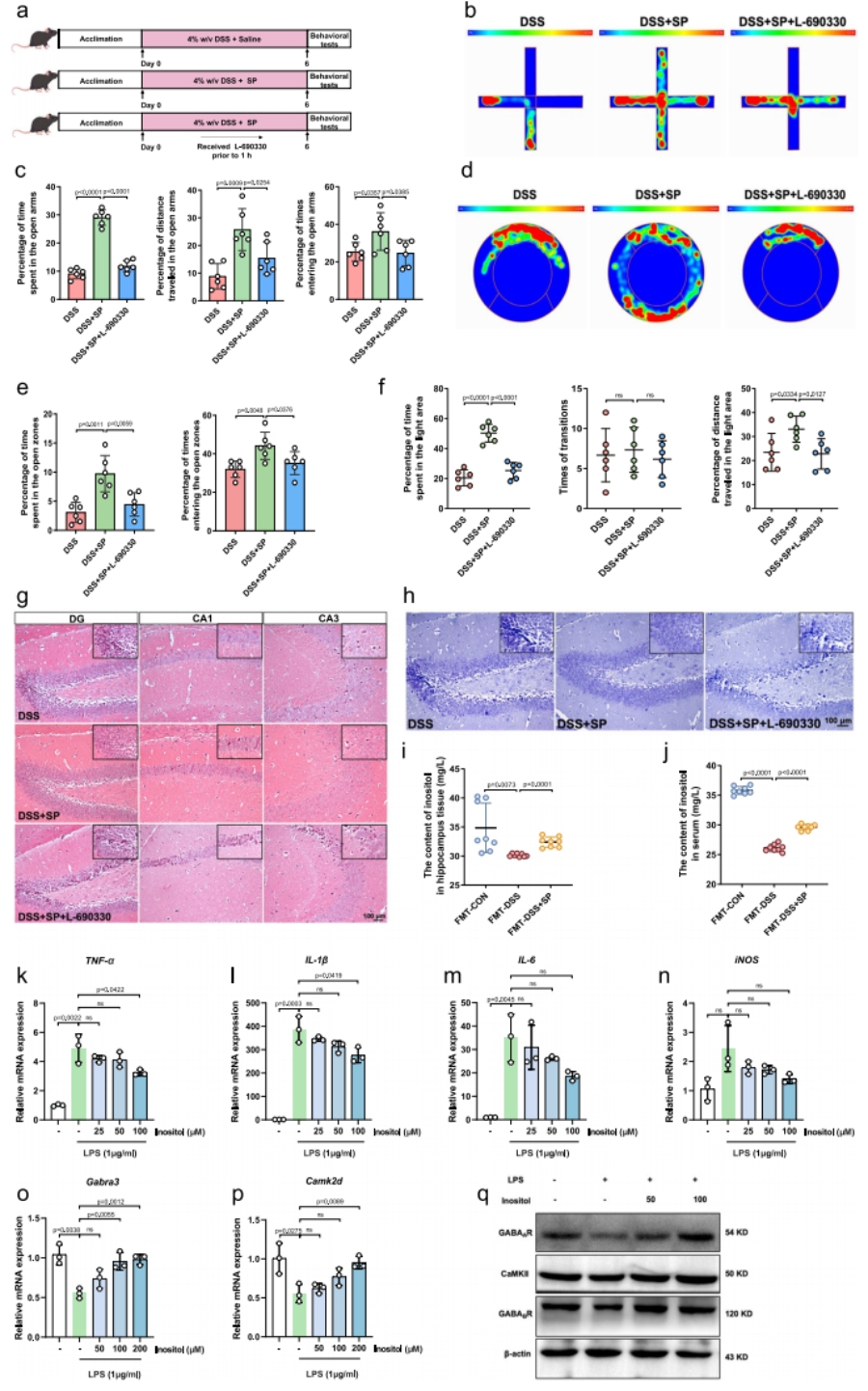 圖9 肌醇在SP對DSS誘導(dǎo)小鼠焦慮樣行為的作用中發(fā)揮關(guān)鍵作用
